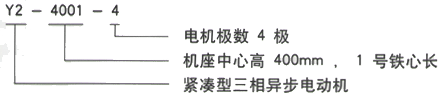 YR系列(H355-1000)高压YKK6302-6/1400KW三相异步电机西安西玛电机型号说明